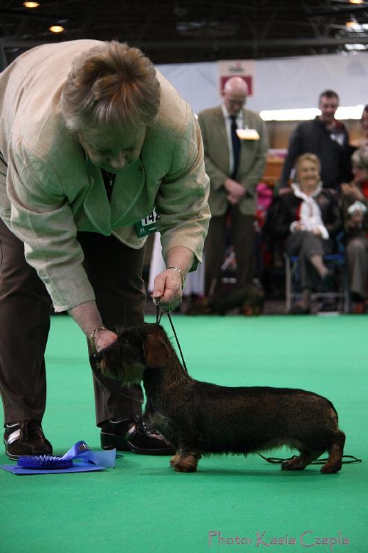 Crufts2011_2 1124.jpg